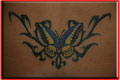 tatouage de papillon et tribal sur le bas du dos relief tattoo valenciennes nord.